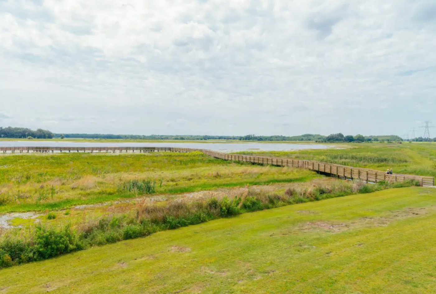 Panoramic view of a vast wetland landscape with green marshes and waterways stretching to the horizon.