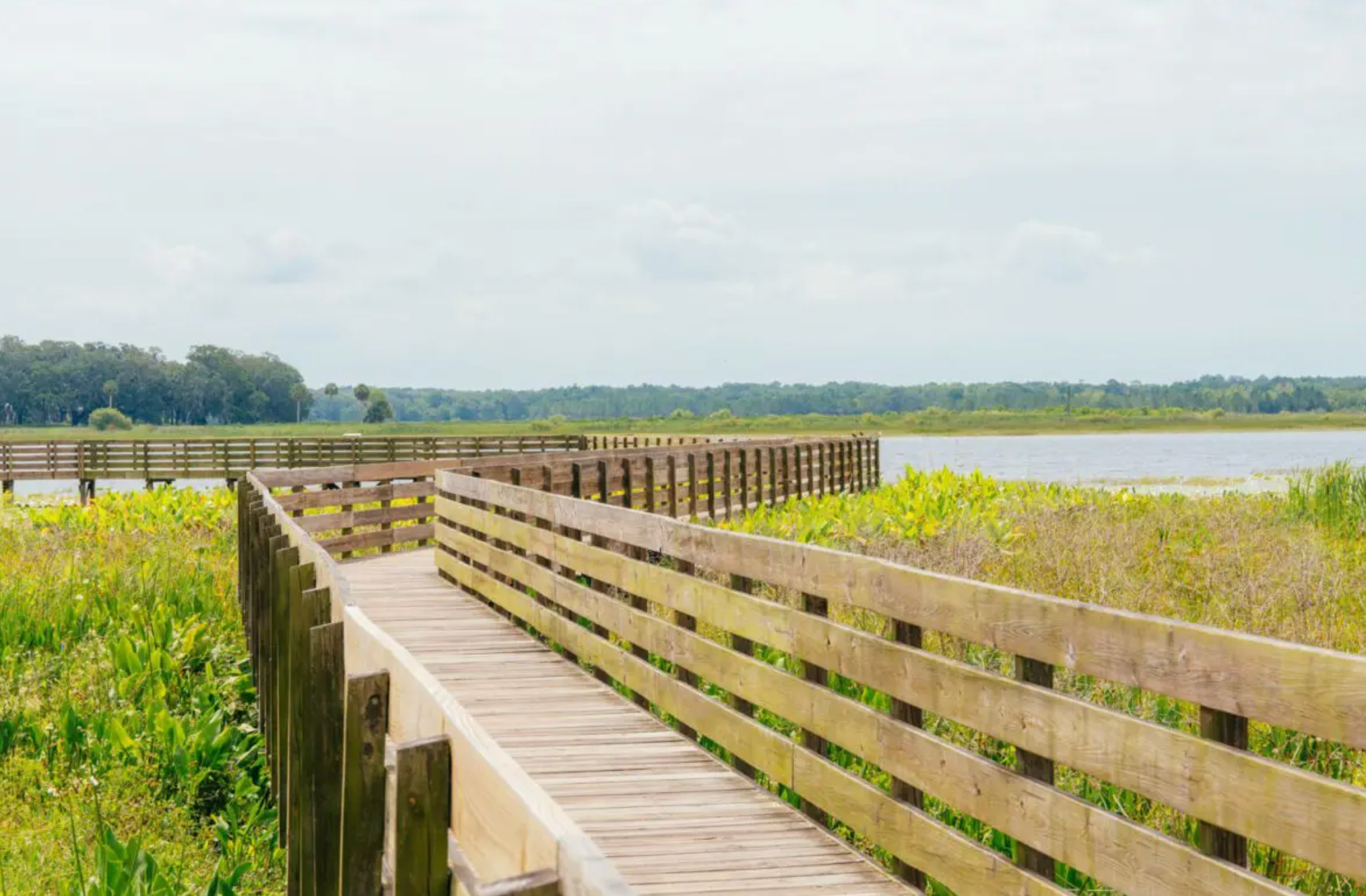 A wooden boardwalk path extends through a scenic marsh landscape with tall grass and water views.