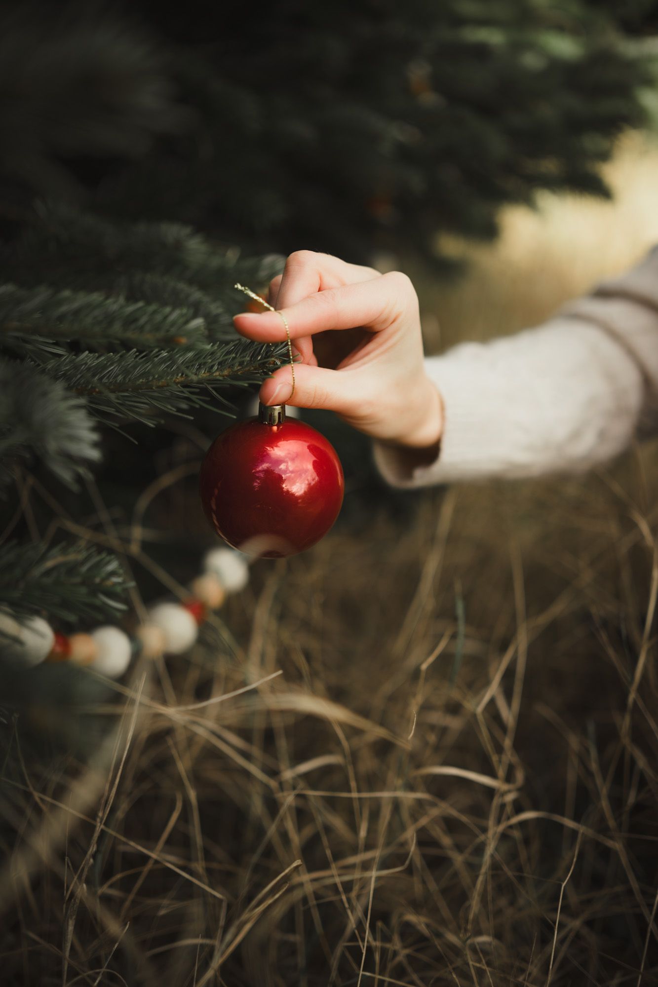 Christmas Mini Photoshoot