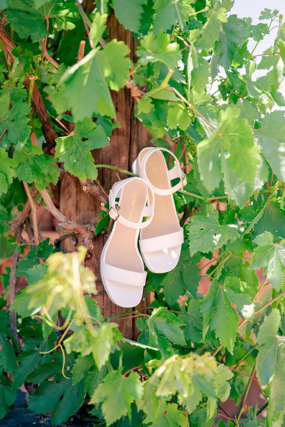 White bridal shoes hang among green grape vine leaves against a wooden fence.