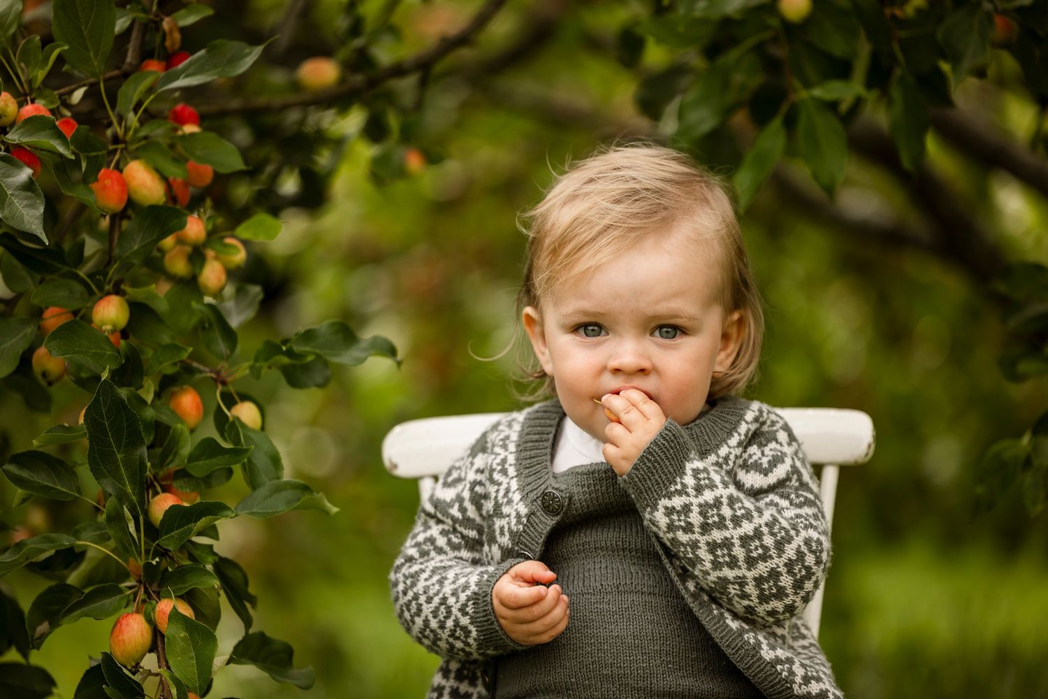 Child in patterned sweater standing near fruit tree in garden.