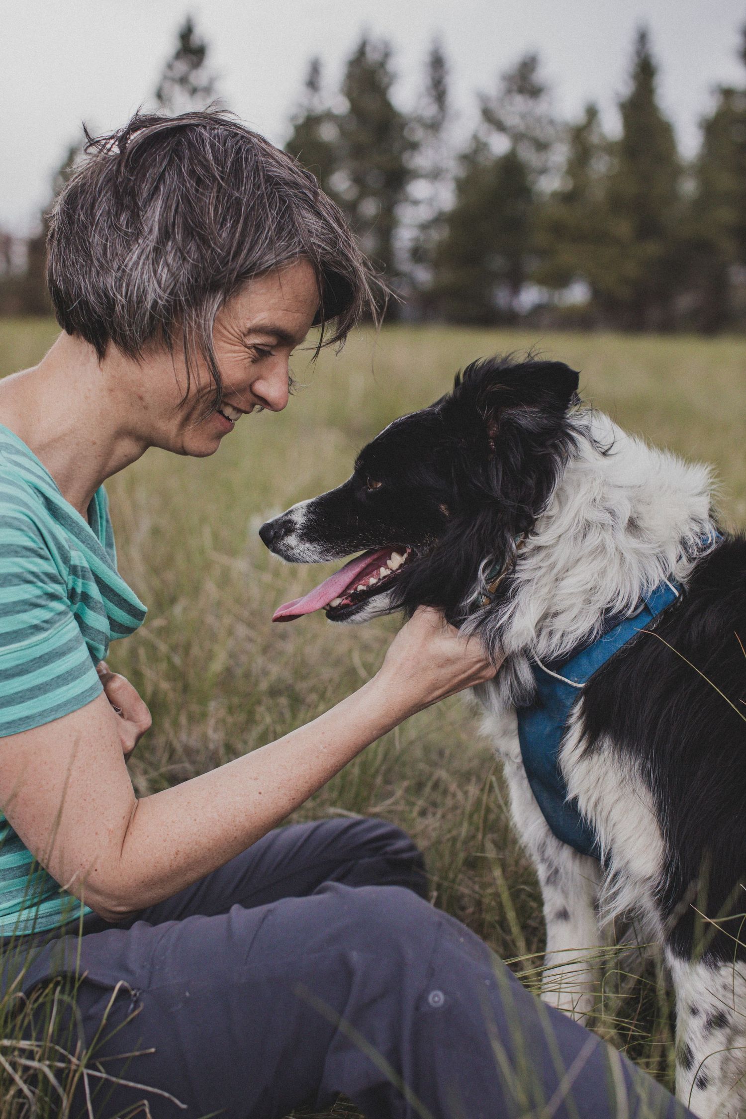 A person in a teal striped shirt sits in a grassy field petting their happy black and white border collie dog.