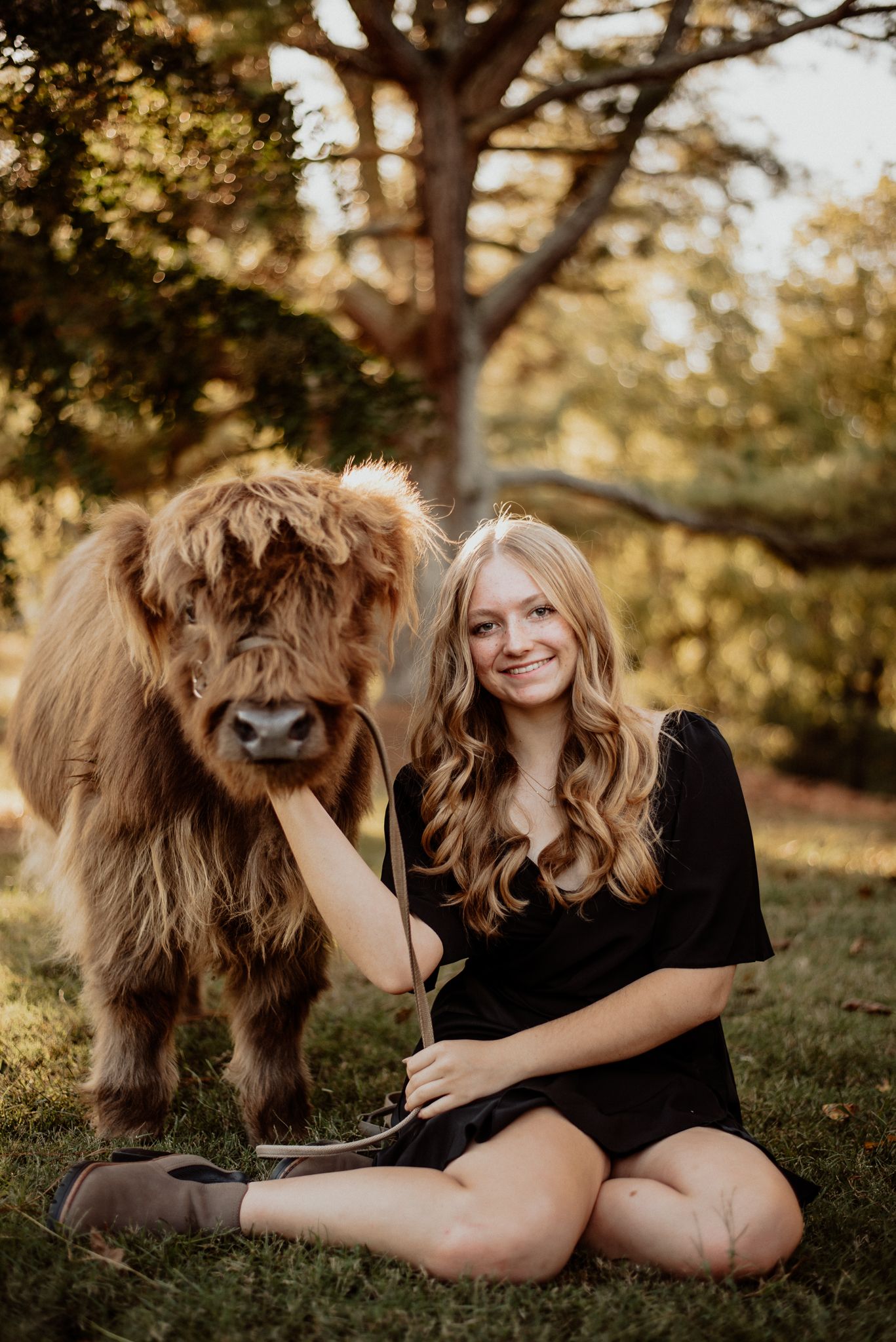 Highland cow and person in black dress pose together in golden sunlight.