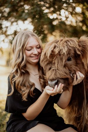 Person in black dress shares tender moment with Highland cow during sunset photo shoot.