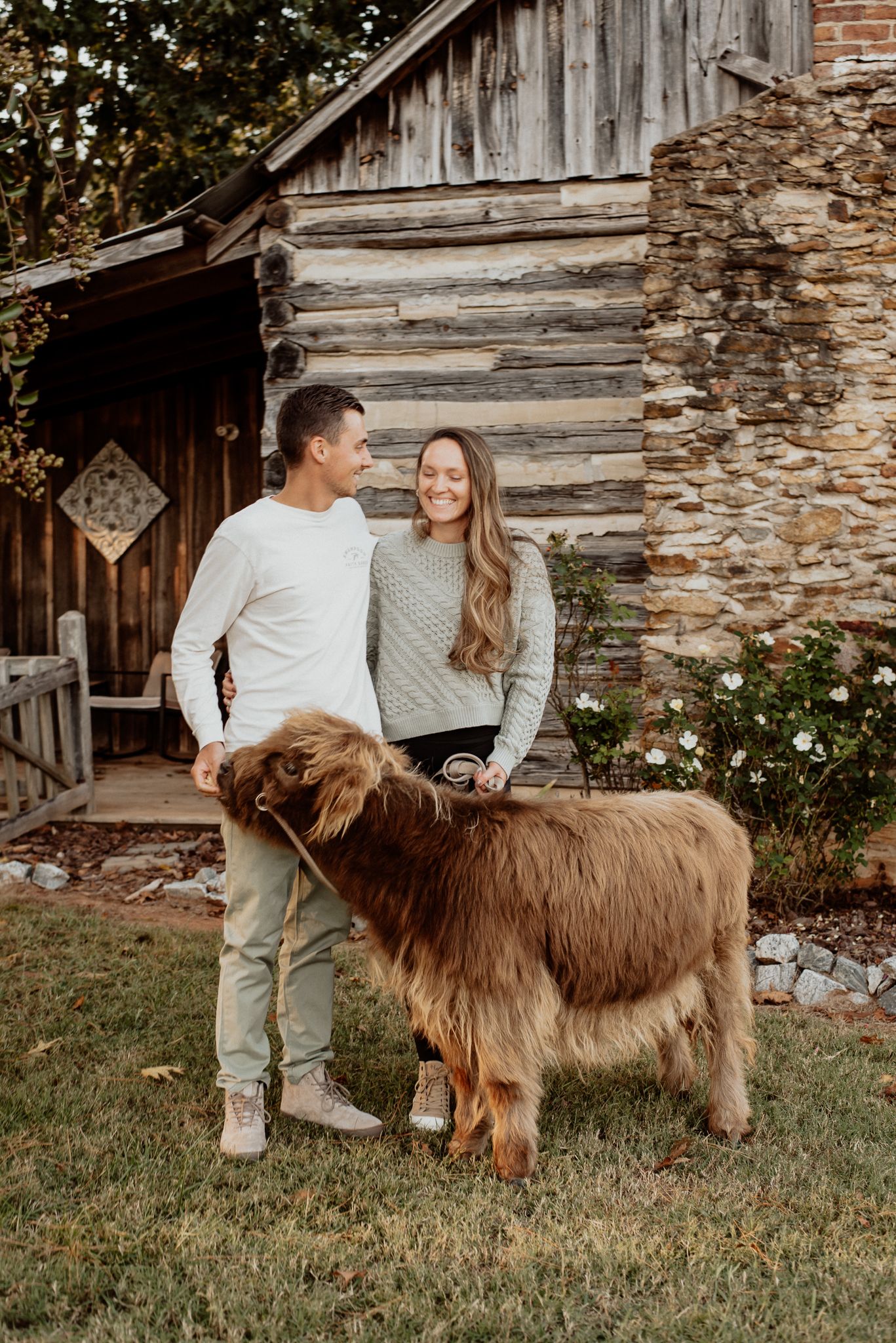 Couple in sweaters pose with their Highland cow by rustic log cabin.