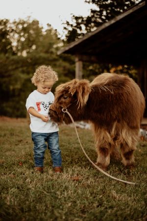 Small child in white shirt and jeans stands next to Highland cow on grassy field.