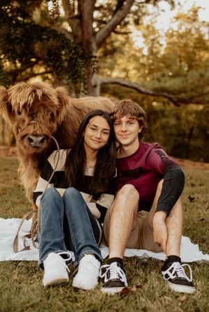 Two people and Highland cow sitting on blanket during sunset photoshoot.