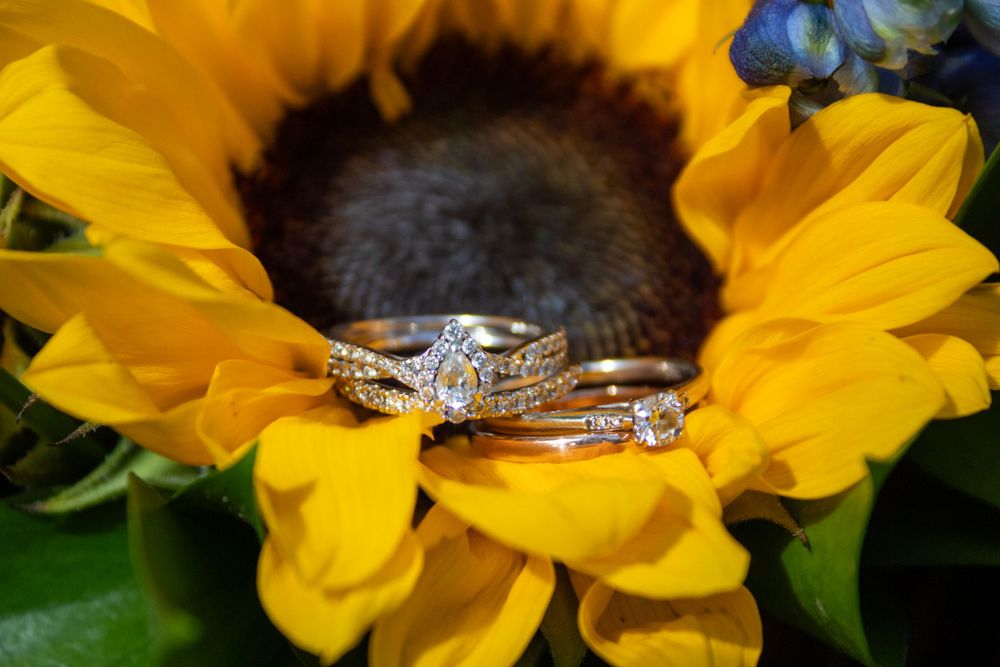 Wedding rings displayed artistically on bright yellow sunflower petals, sunflowers, rings, simple