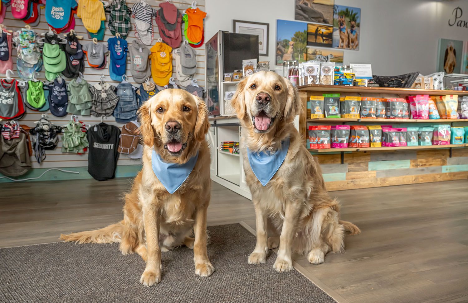 Two golden retriever dogs wearing handmade bandanas are sitting in front of dog treats and pet clothes for sale.