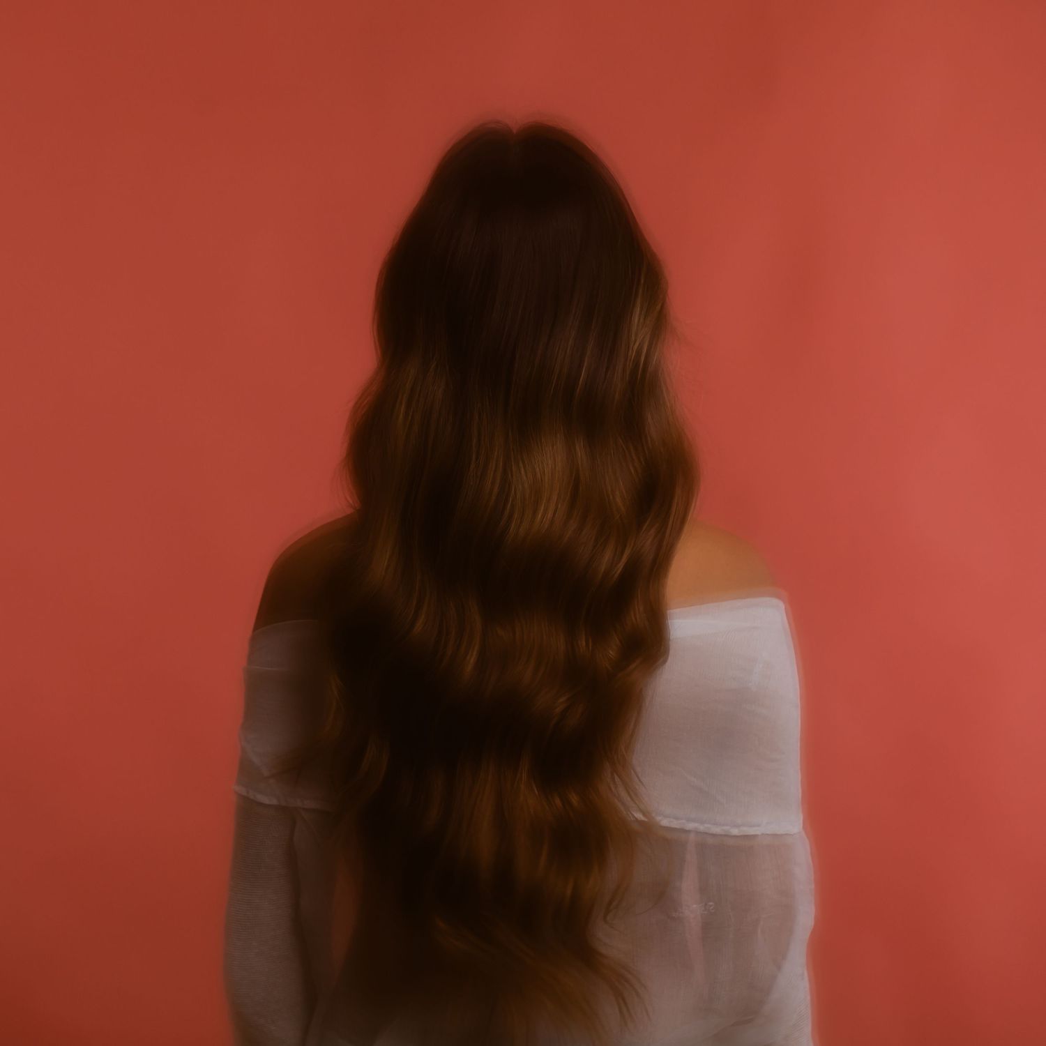 Back view portrait showing long wavy brown hair against coral colored background with dreamy soft focus effect.