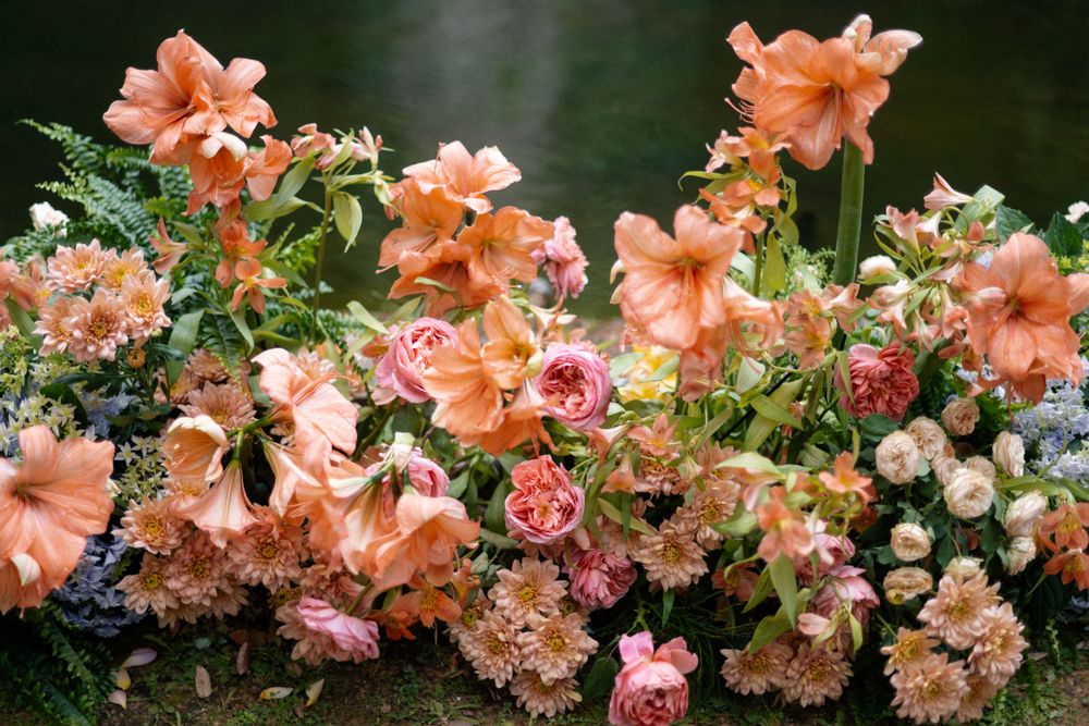 Romantic arrangement of coral and pink flowers with mixed blooms against a dark background.
