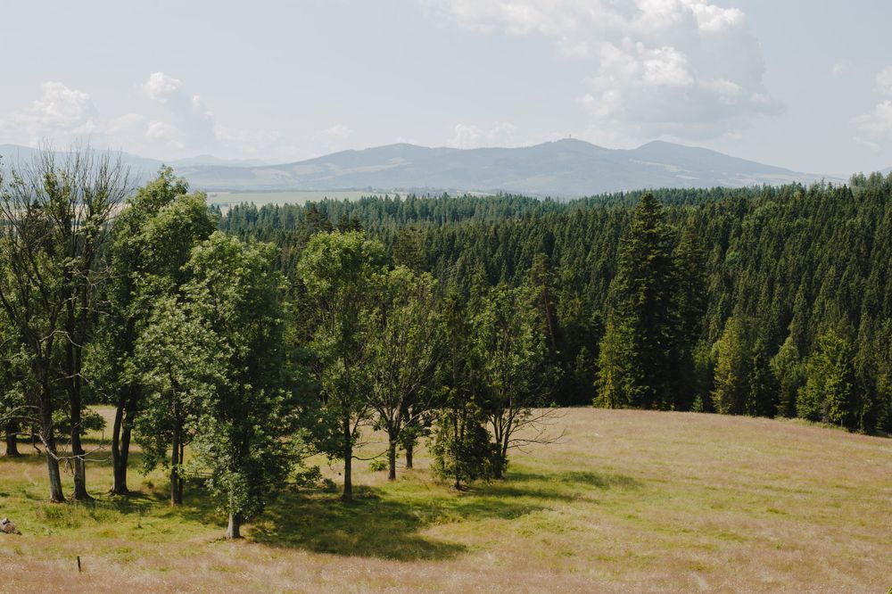 Widok w stronę Magury Orawskiej