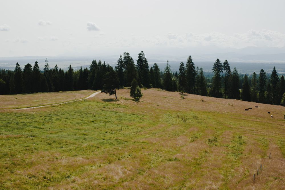 Widok na Tatry i Jezioro Orawskie z wieży widokowej na Marysinej Polanie