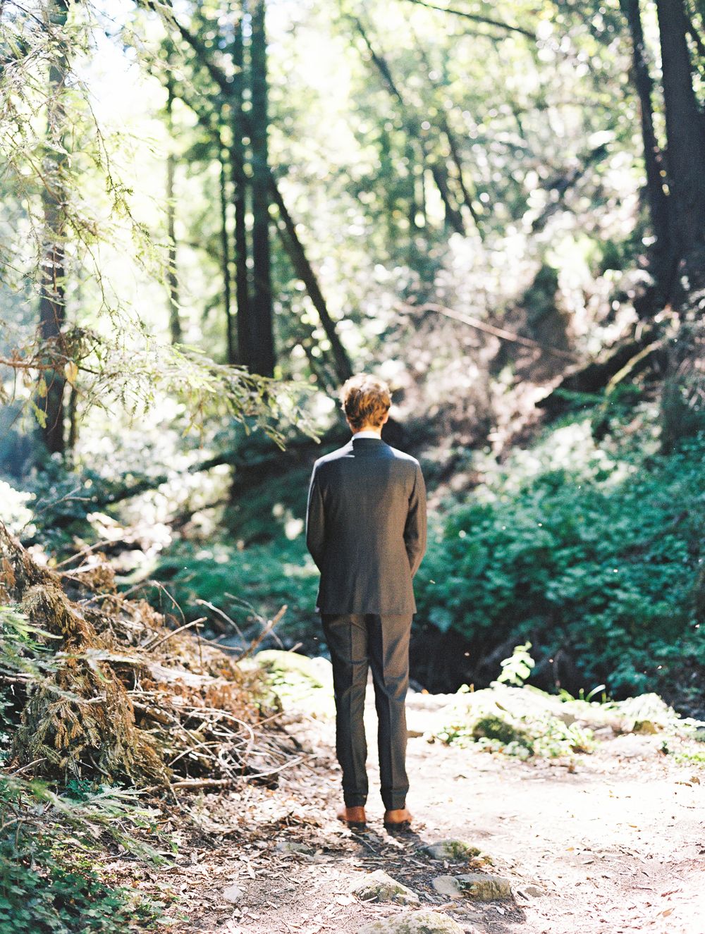 A person in a suit stands on a sunlit forest trail surrounded by lush greenery and tall trees.