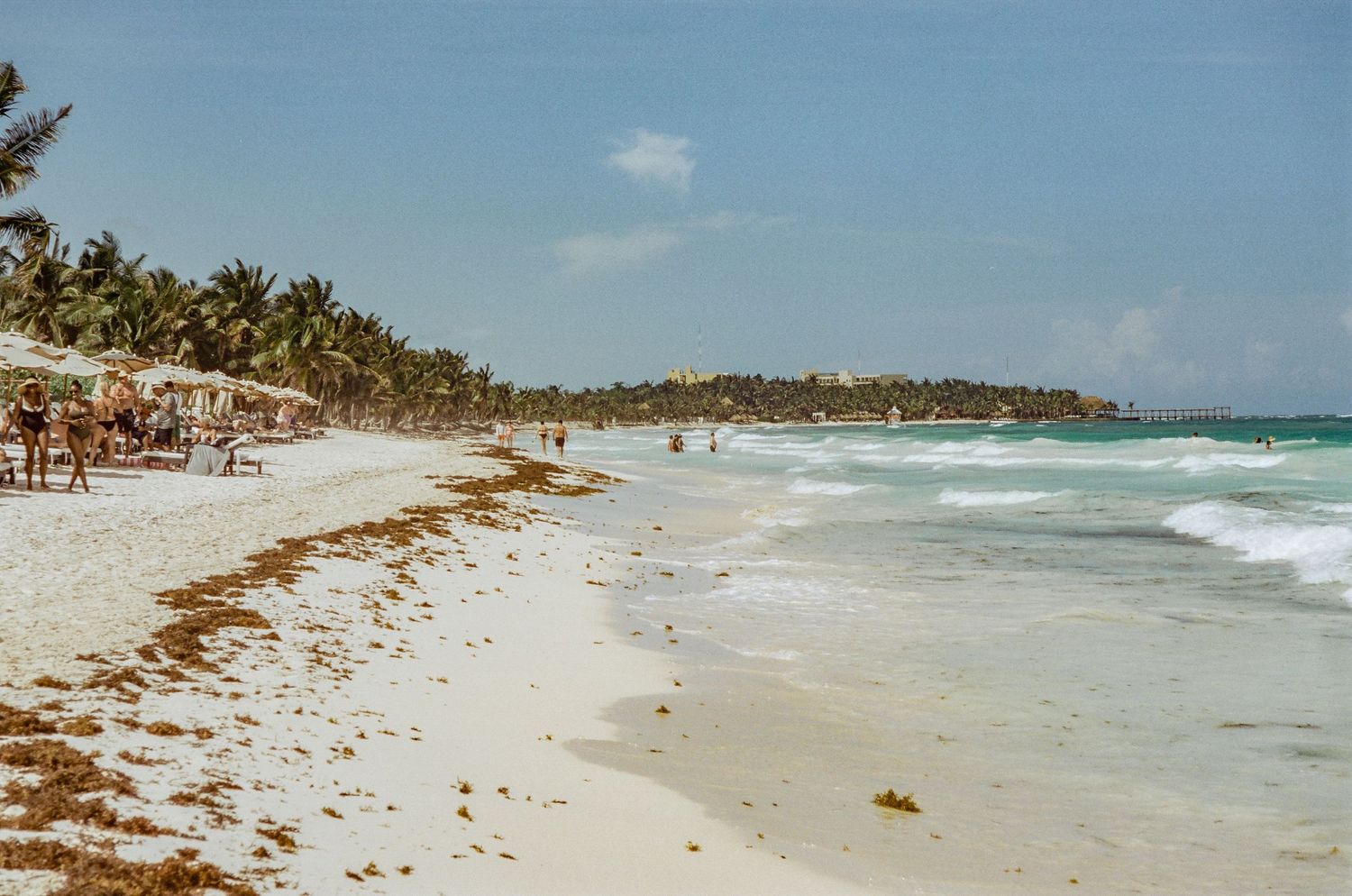 A tropical beach with palm trees and waves along the shoreline at a Caribbean resort.
