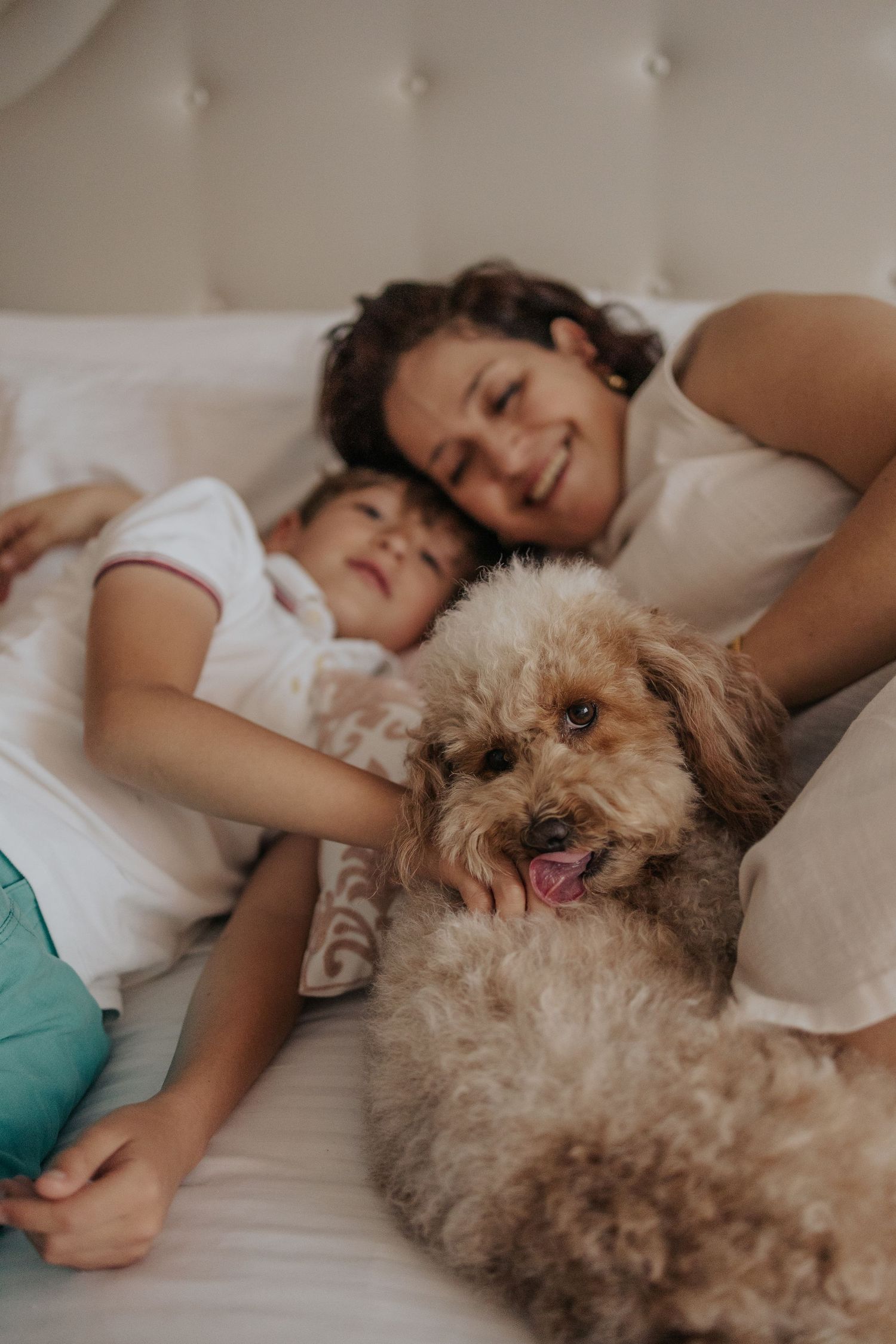 mother, son and looking at their dog on the bad, and the dog looking at the camera leaking his paw