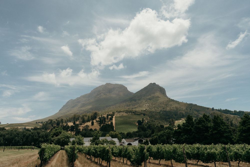 Scenic vineyard landscape with mountain peaks and dramatic clouds in the Stellenbosch wine region of South Africa.