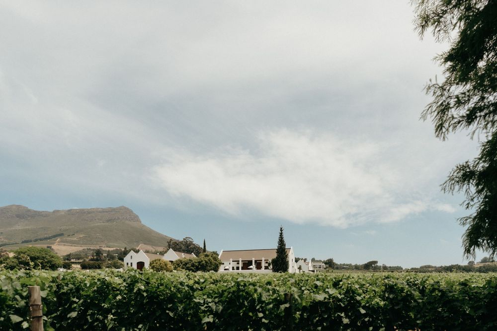 Scenic vineyard landscape with mountains and white buildings under cloudy skies.