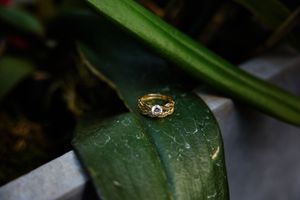 Close-up view of wedding rings on dark green leaves.

Indiana Weddings
Illinois Weddings
Michigan Weddings
Weddings