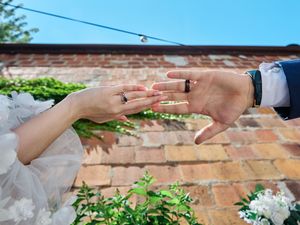 Hands tending to fresh green plants growing in terracotta pots against a rustic brick wall in a garden setting.