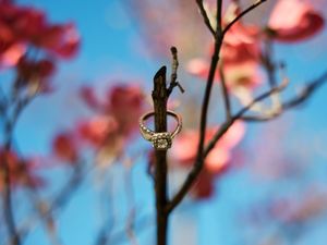 Pink cherry blossoms bloom against a bright blue spring sky with delicate branches reaching upward.