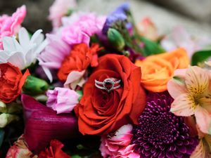 A diamond wedding set nestled in the center of a vibrant red rose surrounded by colorful mixed flowers.

Indiana Weddings
Illinois Weddings