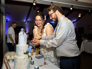 Wedding cake cutting sequence.

Indiana Weddings
Illinois Weddings
Michigan Weddings
Weddings
