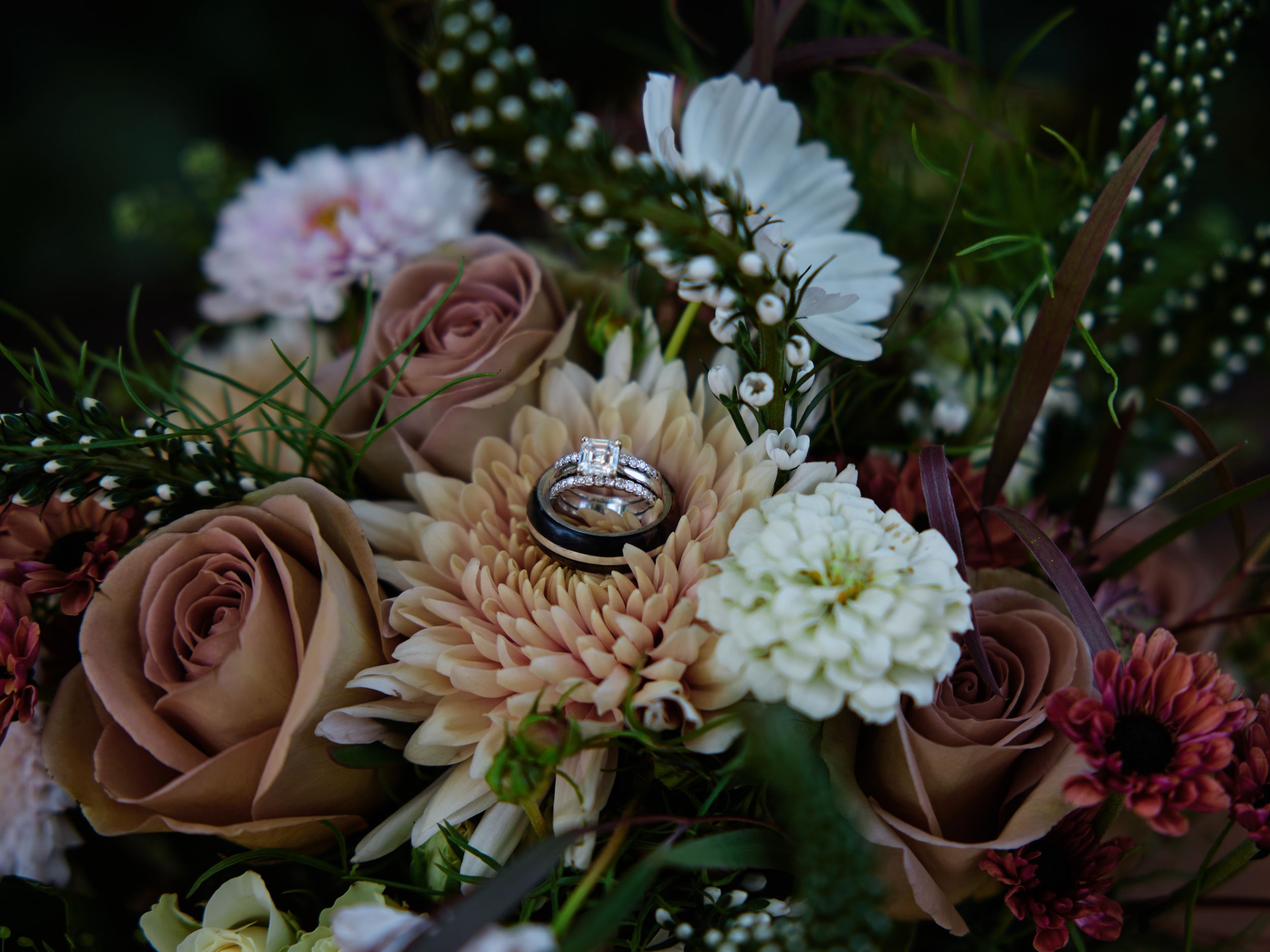 Wedding rings nestled in a romantic floral arrangement.

Indiana Weddings
Illinois Weddings
Michigan Weddings
Weddings