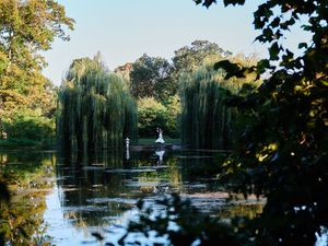 Wedding couple dancing under weeping willow.

Indiana Weddings
Illinois Weddings
Michigan Weddings
Weddings