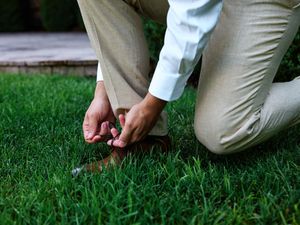 Close-up view of hands tying shoelaces.

Indiana Weddings
Illinois Weddings
Michigan Weddings
Weddings