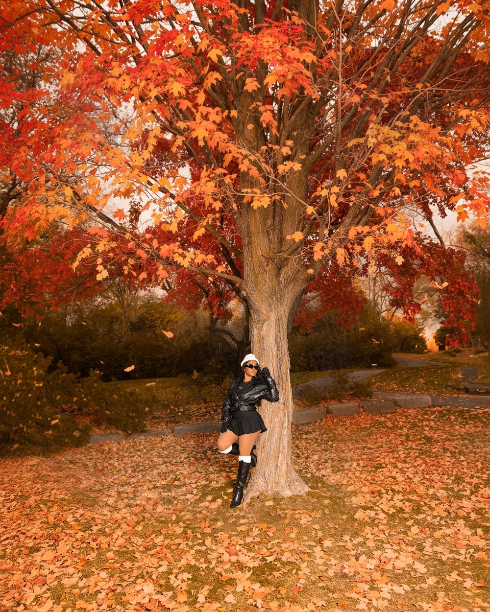 A series of autumn photographs showing a maple tree with vibrant orange leaves and scattered foliage on the ground.