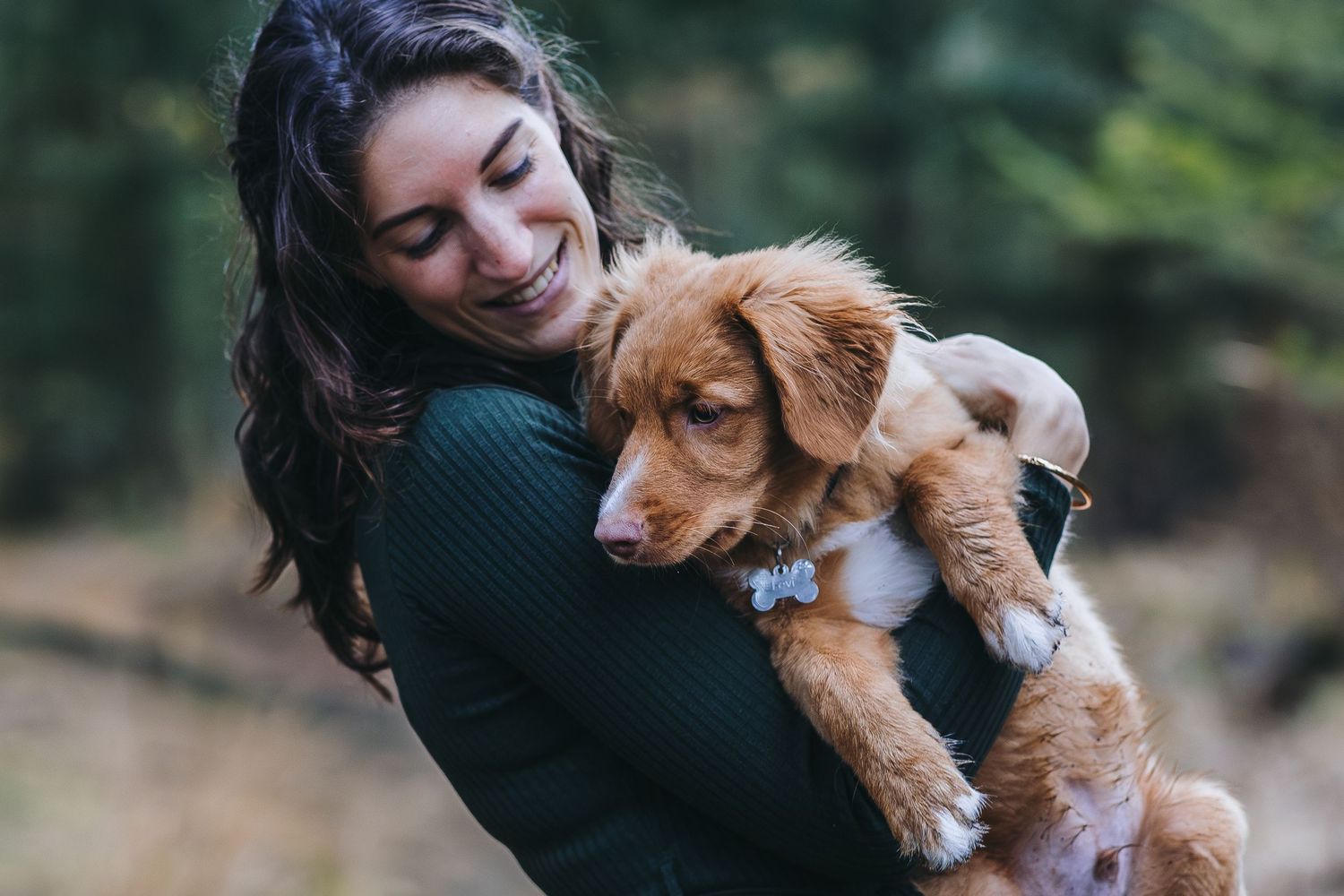 Toller Retriever hondenfotoshoot Friesland