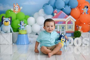 Bluey themed birthday setup with cartoon characters and colorful balloon arch.