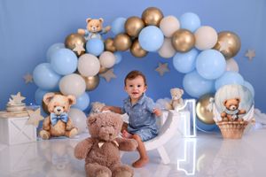 Teddy bear themed photo setup with blue and gold balloon garland and stuffed animals.