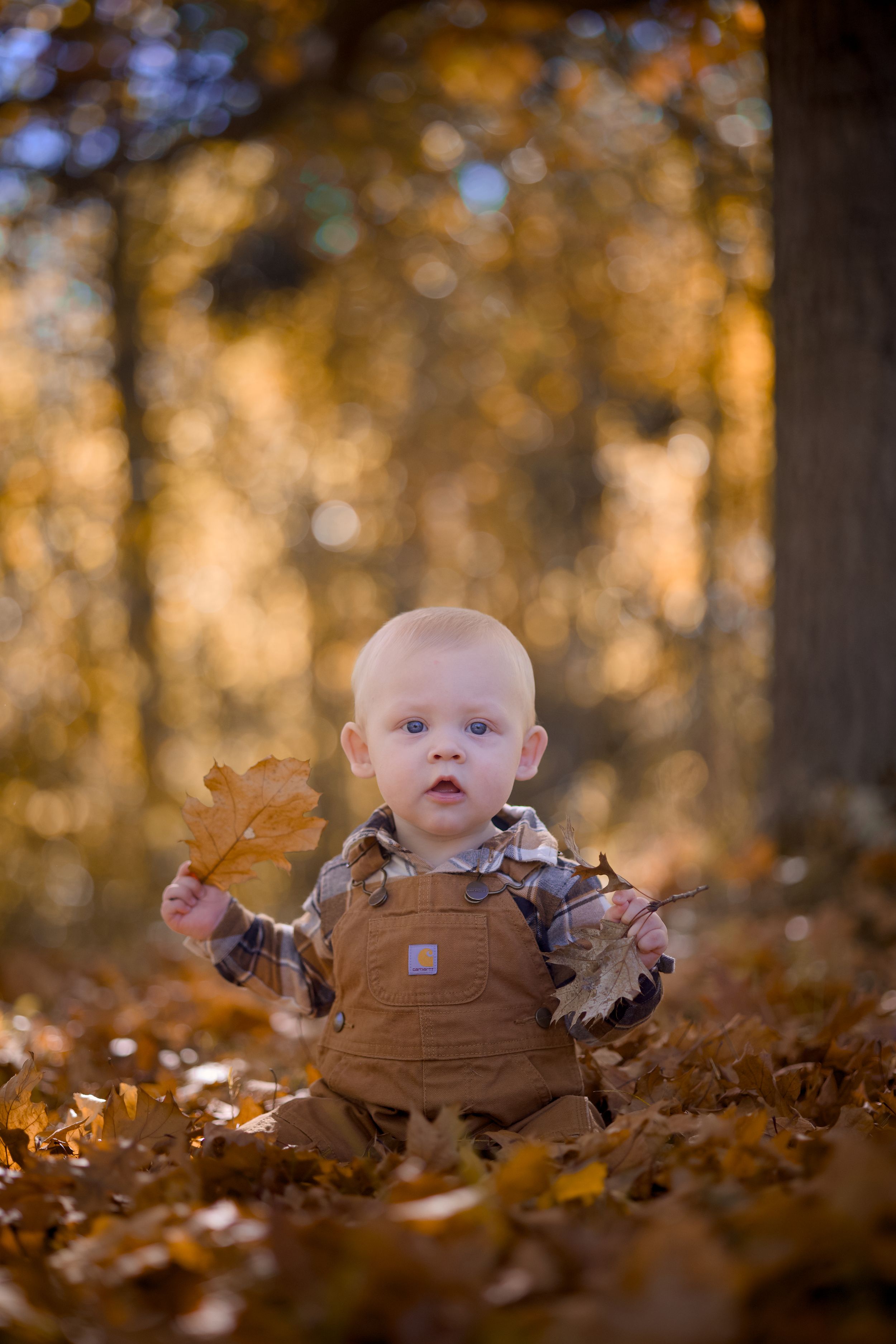 A small baby sits among scattered autumn leaves in a sunlit forest setting with golden bokeh background.