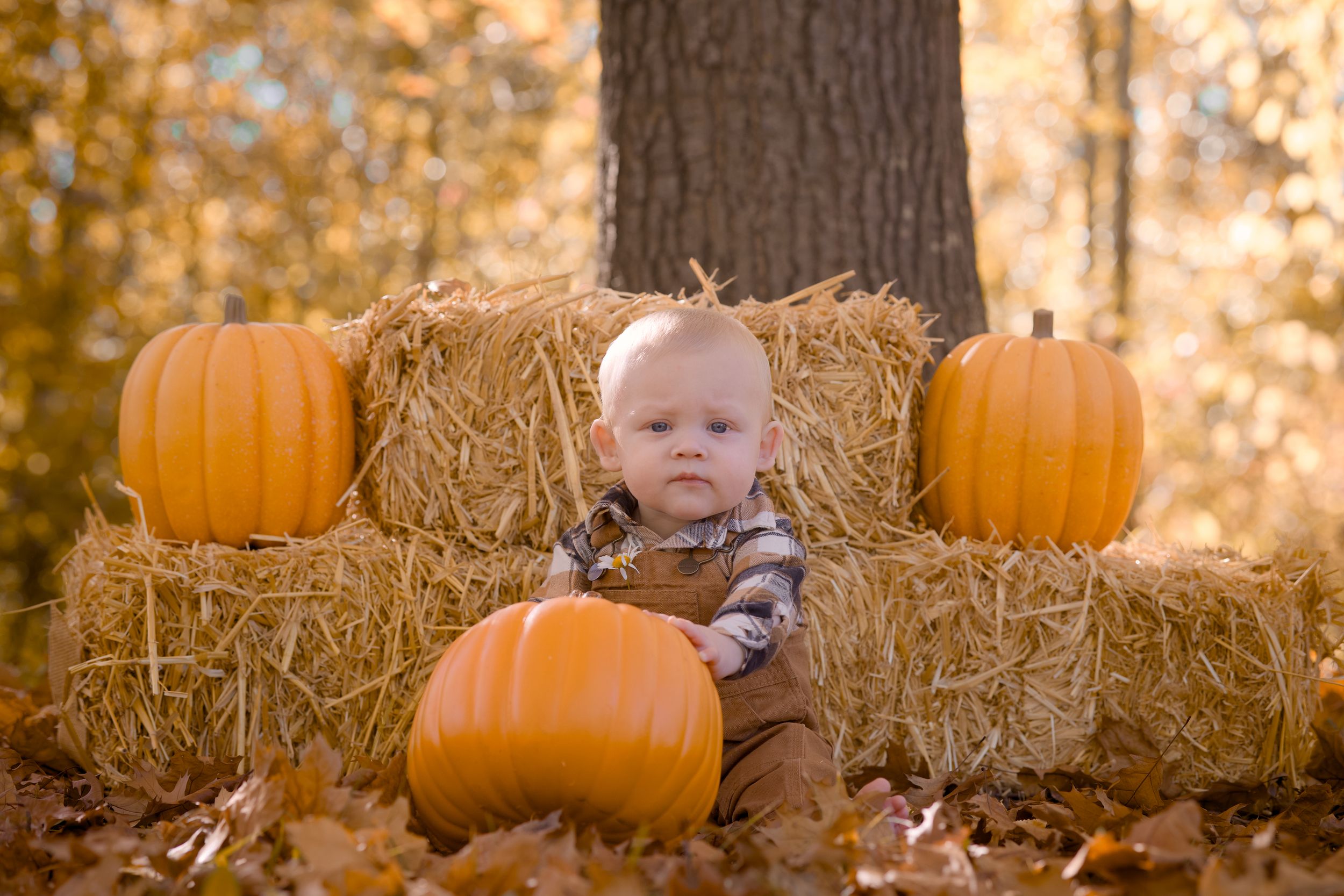 Autumn scene with orange pumpkins arranged on hay bales surrounded by fallen leaves in golden sunlight.