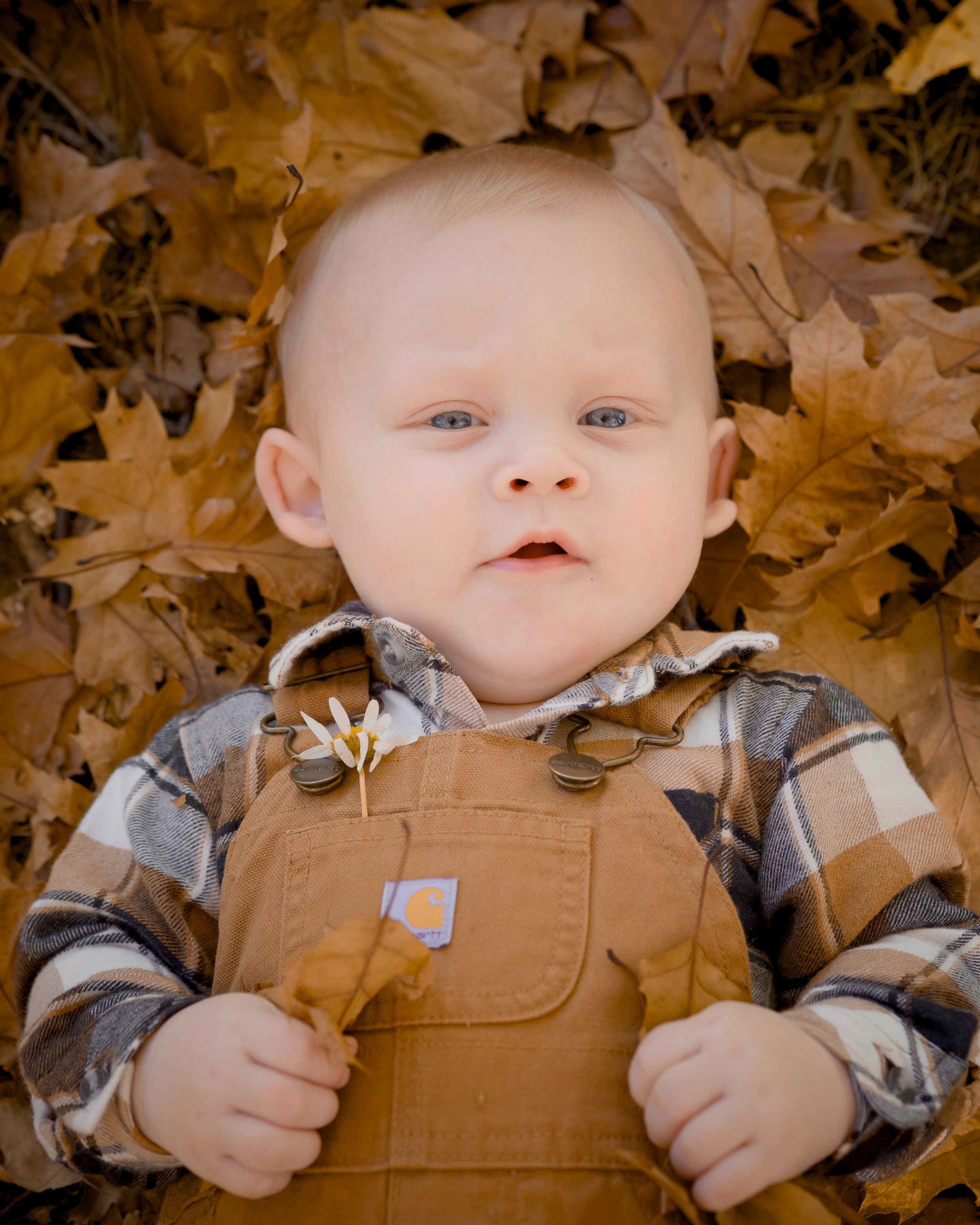 Baby wearing brown overalls and plaid shirt lying on autumn leaves in seasonal outdoor portrait.