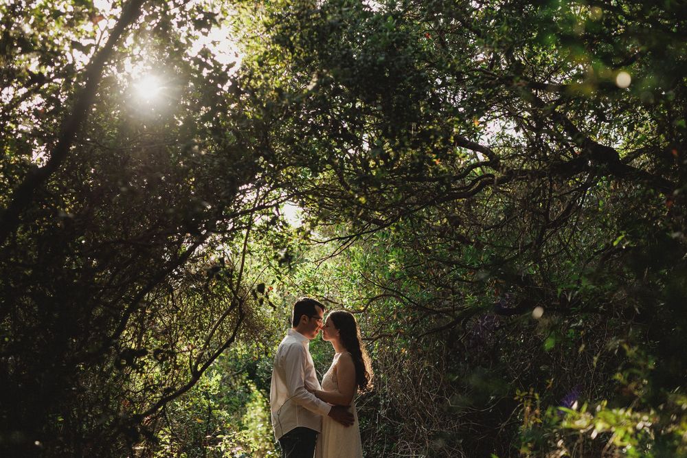 Cinematic pre-wedding photos in Setúbal forest with couple framed by trees and golden backlight