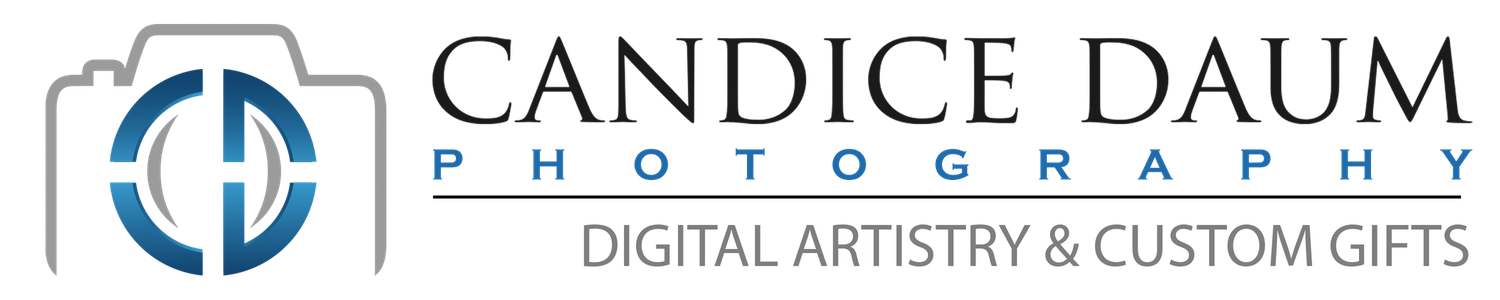 A professional business logo design featuring a blue anchor symbol and text for a photography and digital artistry company.
