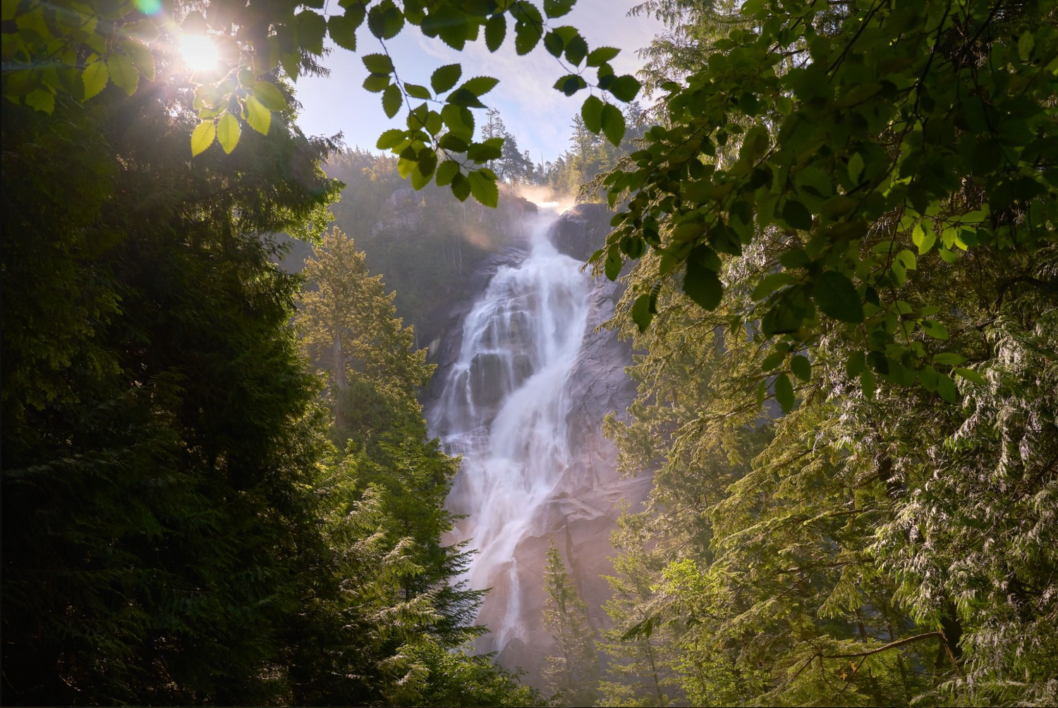 Shannon Falls, a tall and striking waterfall in Squamish, BC, is visible through leaves and ferns