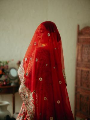 A sequence of traditional Indian bridal attire photos showing a red and gold embroidered dress with flowing veil.
