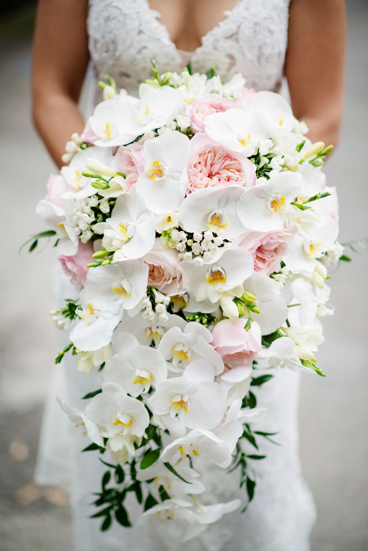 Bride holding cascading wedding bouquet with white orchids, pink garden roses, freesia, and baby's breath.