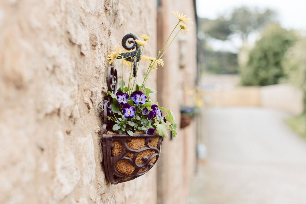 Purple flowers bloom in a decorative wall-mounted planter against a textured stone surface.