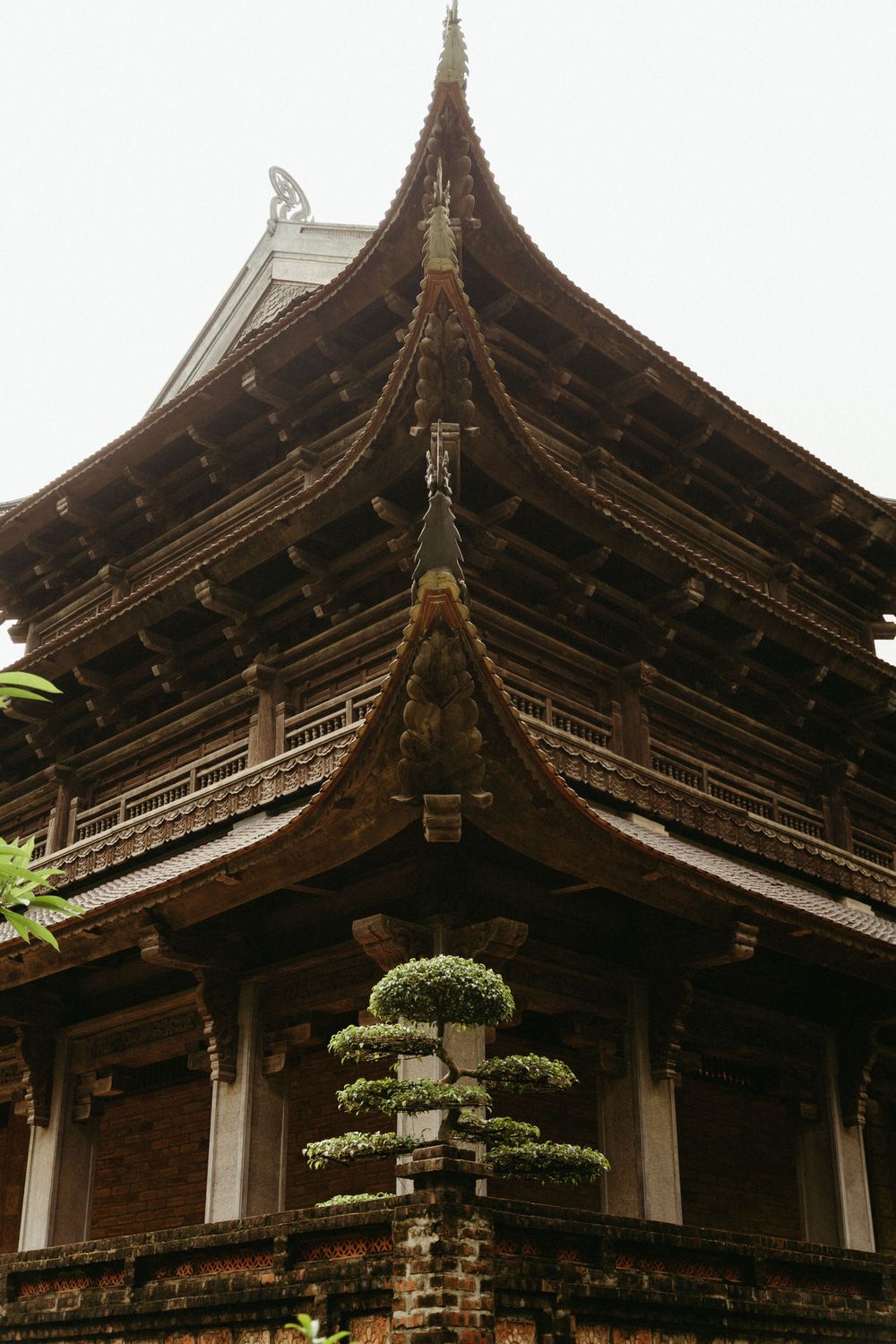 Ancienne pagode asiatique en bois avec avant-toit incurvé et un bonsaï décoratif, présentant l'architecture traditionnelle du temple d'Asie