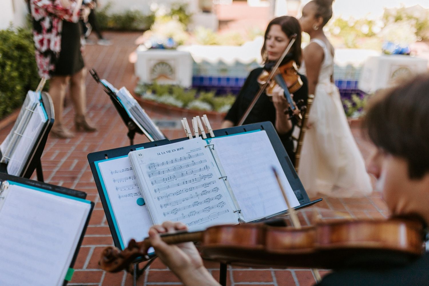 String quartet musicians playing violins outdoors at a wedding reception with sheet music on stands at Darlington House.