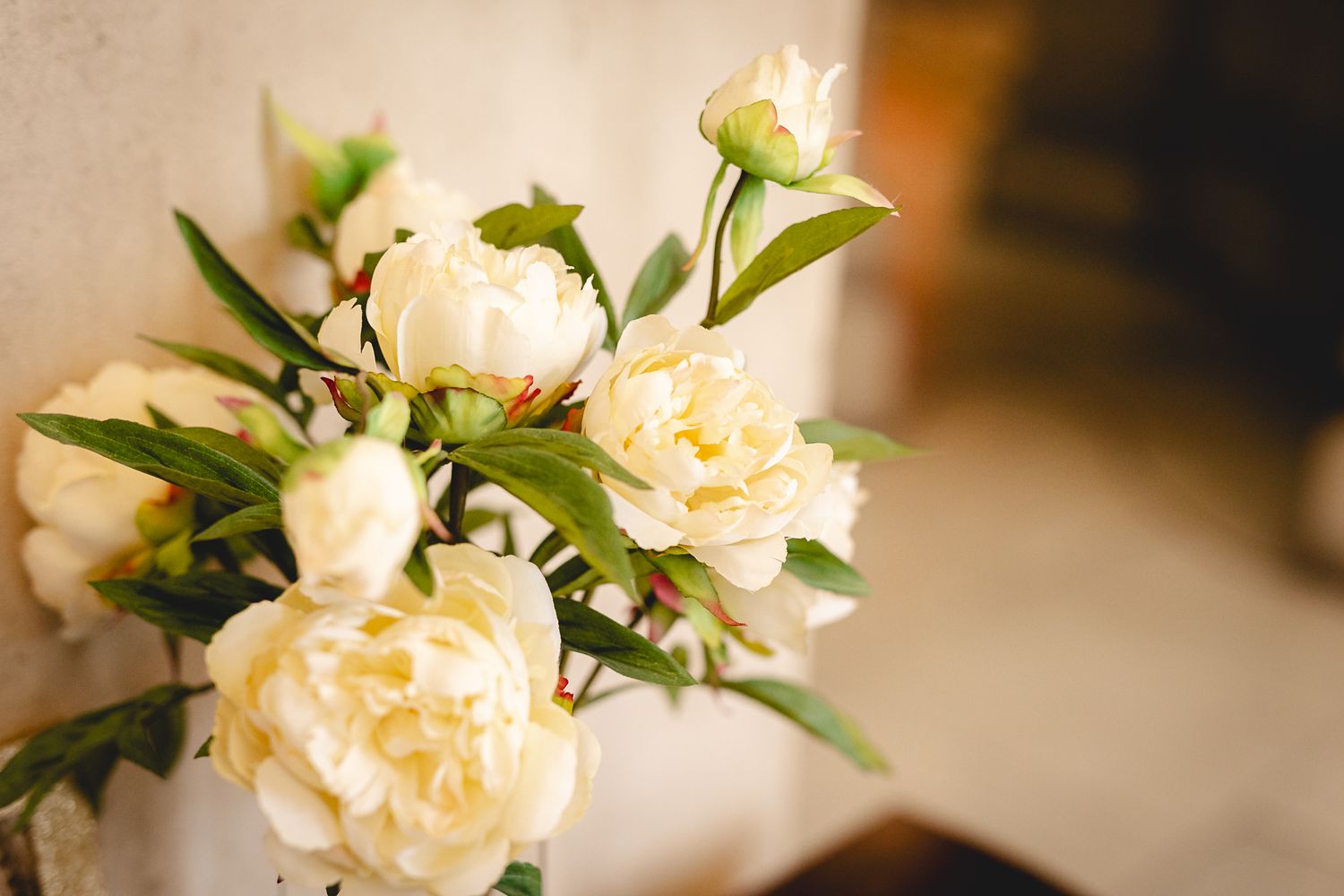 Close-up of white peony flowers with green leaves in a vase, soft natural light background.