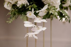 White cymbidium orchids and tropical greenery create an elegant wedding arch decor arrangement.