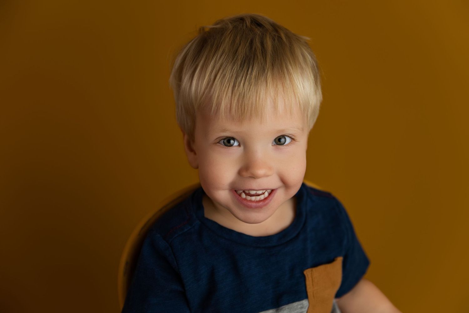 Smiling blonde toddler boy in a navy shirt against a golden yellow background in a studio portrait.