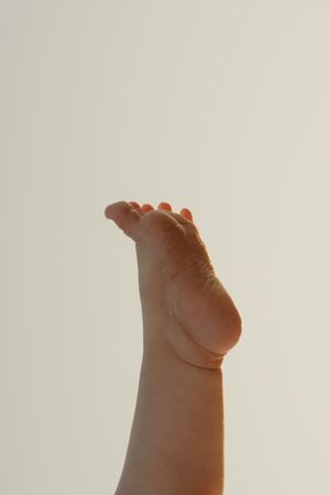 Close up view of tiny baby toes against a light background.