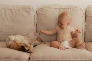 A baby's feet peek out next to a sleeping dog on a beige couch.